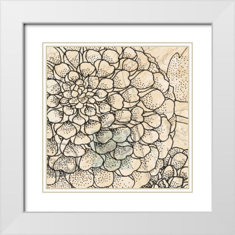 Vintage Dahlias II White Modern Wood Framed Art Print with Double Matting by Williams, Todd