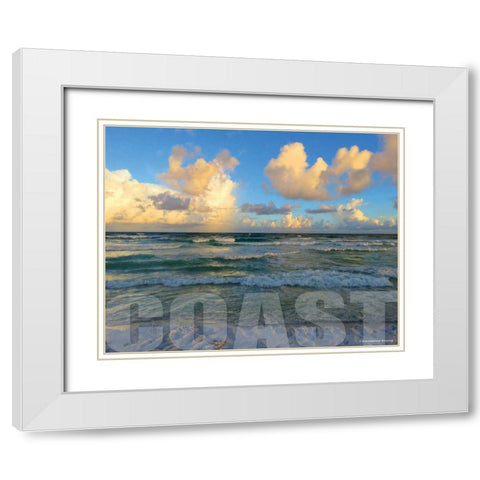 Florida Coast White Modern Wood Framed Art Print with Double Matting by Williams, Todd