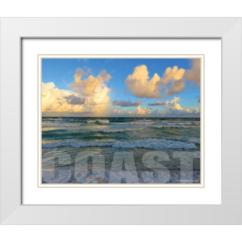 Florida Coast White Modern Wood Framed Art Print with Double Matting by Williams, Todd