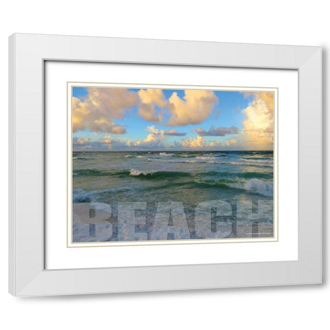 Florida Beach White Modern Wood Framed Art Print with Double Matting by Williams, Todd