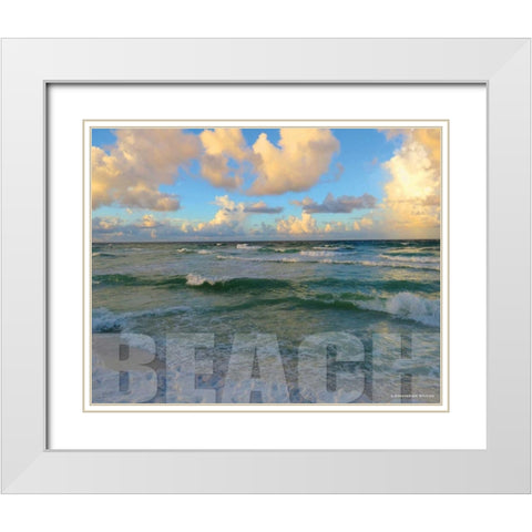 Florida Beach White Modern Wood Framed Art Print with Double Matting by Williams, Todd