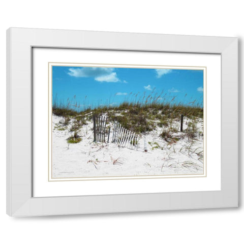 Sand Dunes II White Modern Wood Framed Art Print with Double Matting by Williams, Todd