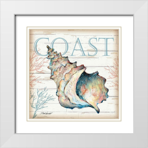 Coast Shell White Modern Wood Framed Art Print with Double Matting by Williams, Todd