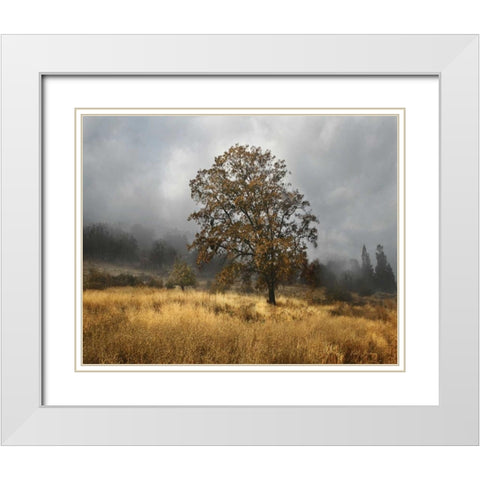 Field of Gold White Modern Wood Framed Art Print with Double Matting by Geyman, Vitaly