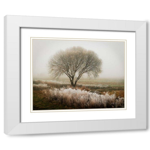 Tranquility I White Modern Wood Framed Art Print with Double Matting by Geyman, Vitaly
