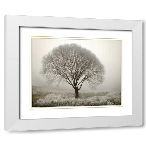 Tranquility II White Modern Wood Framed Art Print with Double Matting by Geyman, Vitaly