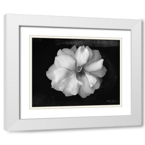 Wild Rose White Modern Wood Framed Art Print with Double Matting by Geyman, Vitaly