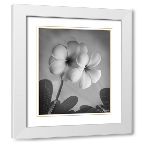 Plumeria I White Modern Wood Framed Art Print with Double Matting by Geyman, Vitaly