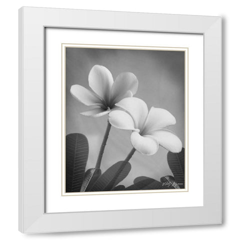 Plumeria II White Modern Wood Framed Art Print with Double Matting by Geyman, Vitaly