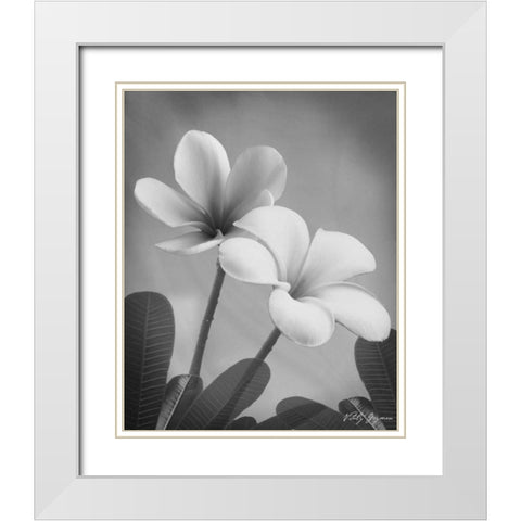 Plumeria II White Modern Wood Framed Art Print with Double Matting by Geyman, Vitaly
