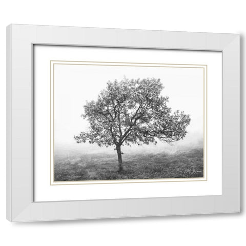 Burning Oak I White Modern Wood Framed Art Print with Double Matting by Geyman, Vitaly