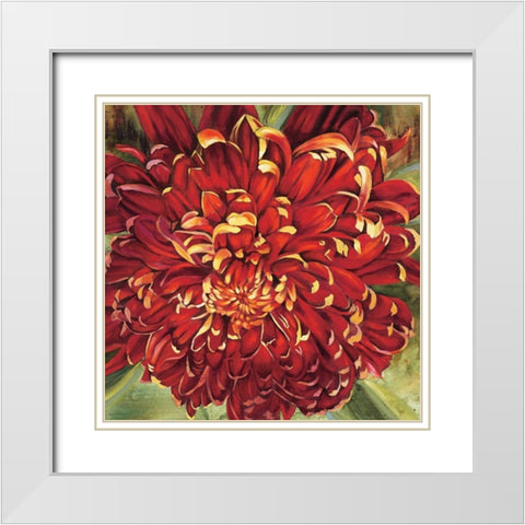 Chrysanthemum White Modern Wood Framed Art Print with Double Matting by Werbelow, Selina