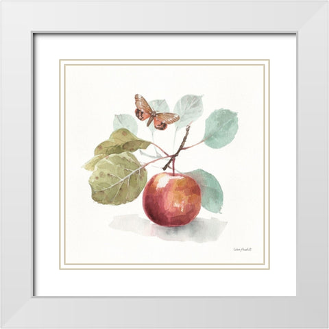 Autumn in Nature 02 on White White Modern Wood Framed Art Print with Double Matting by Audit, Lisa