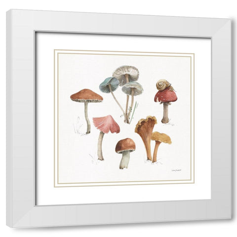 Mushroom Medley 02 White Modern Wood Framed Art Print with Double Matting by Audit, Lisa