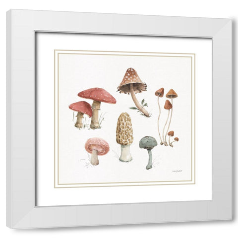 Mushroom Medley 03 White Modern Wood Framed Art Print with Double Matting by Audit, Lisa