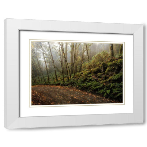 Rain Forest White Modern Wood Framed Art Print with Double Matting by Head, Danny