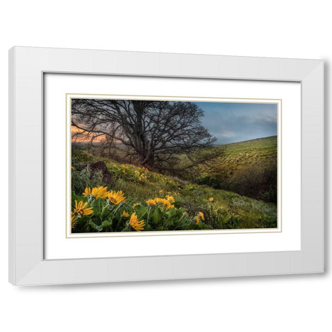 Hillside Oak White Modern Wood Framed Art Print with Double Matting by Head, Danny