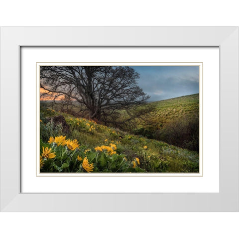 Hillside Oak White Modern Wood Framed Art Print with Double Matting by Head, Danny