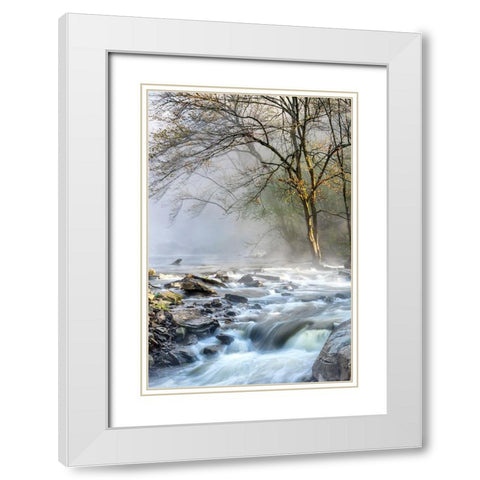Crisp Mist White Modern Wood Framed Art Print with Double Matting by Head, Danny