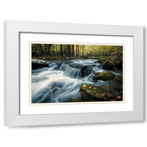 Last Light at Tremont White Modern Wood Framed Art Print with Double Matting by Head, Danny
