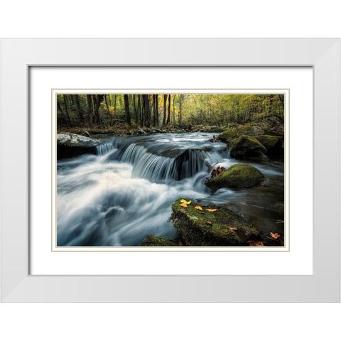 Last Light at Tremont White Modern Wood Framed Art Print with Double Matting by Head, Danny