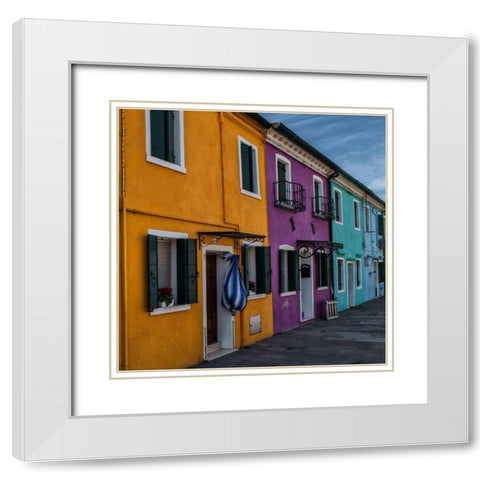 True Colors White Modern Wood Framed Art Print with Double Matting by Head, Danny