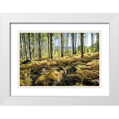 Golden Ferns White Modern Wood Framed Art Print with Double Matting by Head, Danny