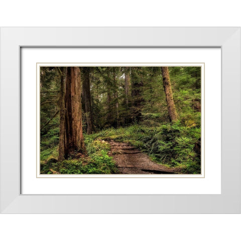The Forest Calls White Modern Wood Framed Art Print with Double Matting by Head, Danny
