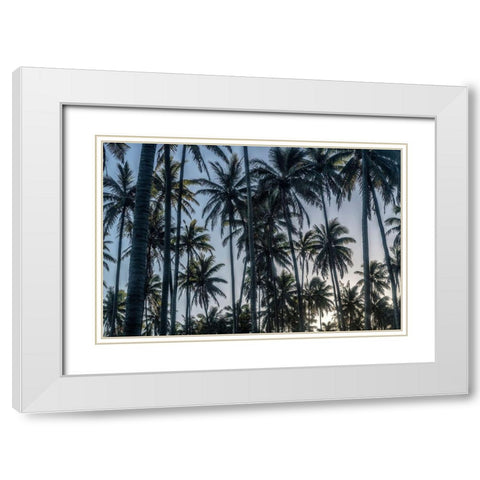 Palm Grove I White Modern Wood Framed Art Print with Double Matting by Head, Danny