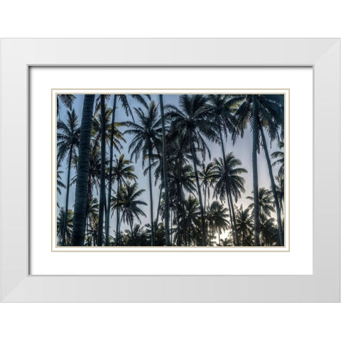 Palm Grove I White Modern Wood Framed Art Print with Double Matting by Head, Danny