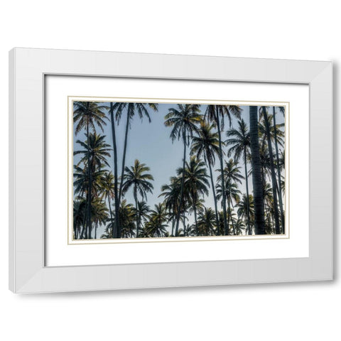 Palm Grove II White Modern Wood Framed Art Print with Double Matting by Head, Danny
