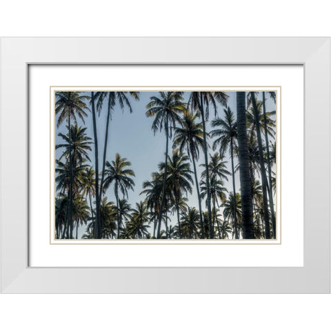 Palm Grove II White Modern Wood Framed Art Print with Double Matting by Head, Danny