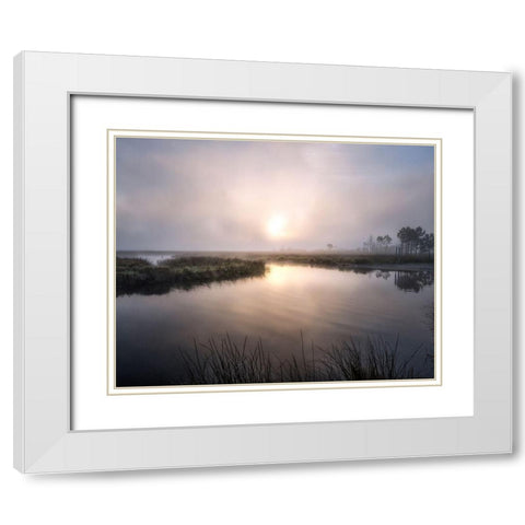 Fog on the Bayou White Modern Wood Framed Art Print with Double Matting by Head, Danny