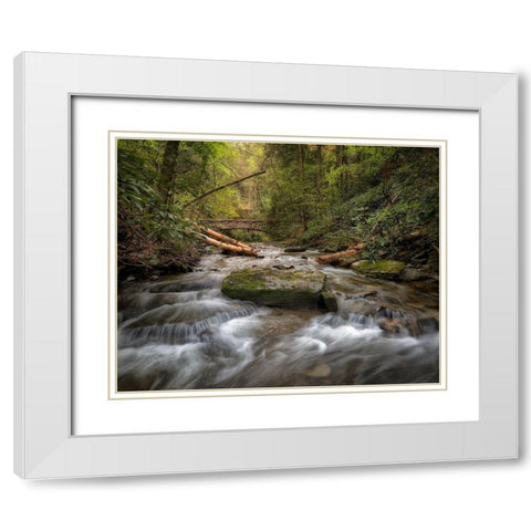 Spring Colors White Modern Wood Framed Art Print with Double Matting by Head, Danny