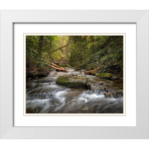 Spring Colors White Modern Wood Framed Art Print with Double Matting by Head, Danny
