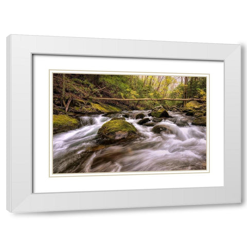 Running Free II White Modern Wood Framed Art Print with Double Matting by Head, Danny