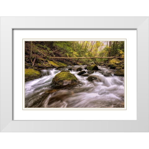 Running Free II White Modern Wood Framed Art Print with Double Matting by Head, Danny