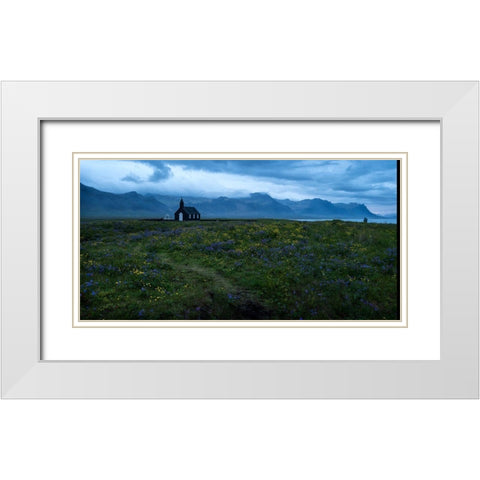 Wildflowers in Yellow and Blue White Modern Wood Framed Art Print with Double Matting by Head, Danny