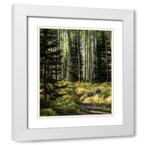 High Country White Modern Wood Framed Art Print with Double Matting by Head, Danny