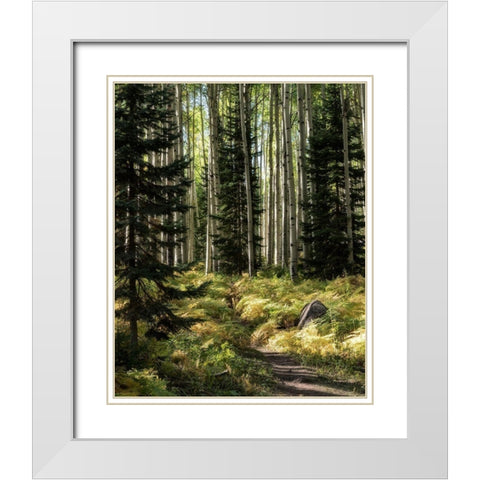 High Country White Modern Wood Framed Art Print with Double Matting by Head, Danny