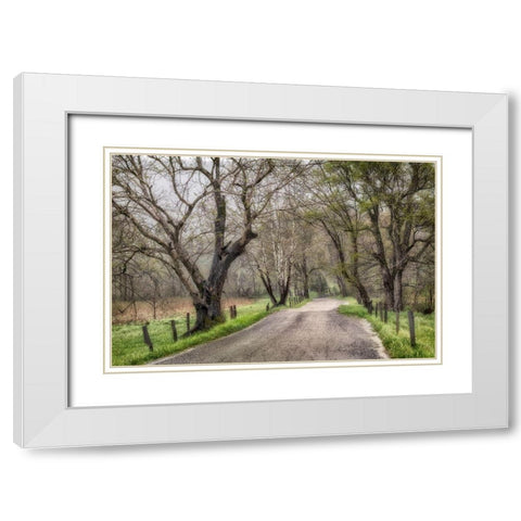 Memory Lane II White Modern Wood Framed Art Print with Double Matting by Head, Danny