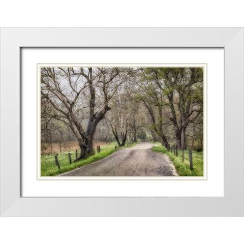 Memory Lane II White Modern Wood Framed Art Print with Double Matting by Head, Danny