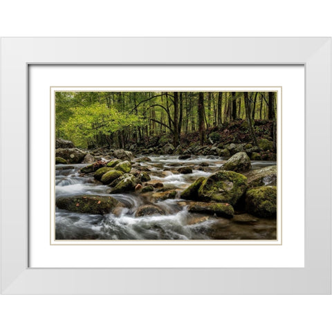Big Creek White Modern Wood Framed Art Print with Double Matting by Head, Danny