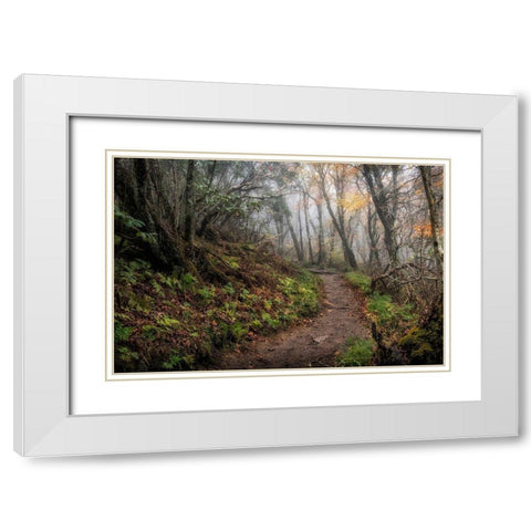 Long Walk White Modern Wood Framed Art Print with Double Matting by Head, Danny