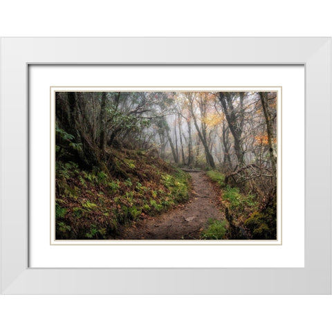 Long Walk White Modern Wood Framed Art Print with Double Matting by Head, Danny