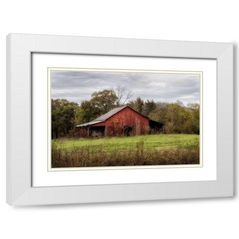 Warm Autumn White Modern Wood Framed Art Print with Double Matting by Head, Danny