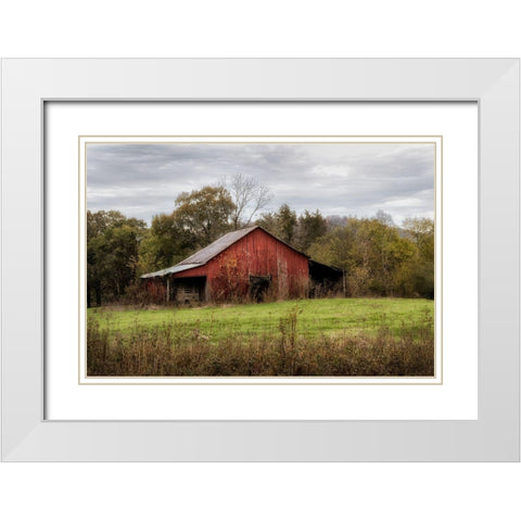 Warm Autumn White Modern Wood Framed Art Print with Double Matting by Head, Danny