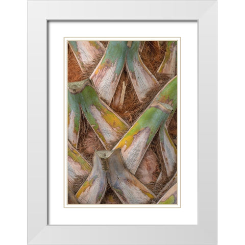 Palm Trunk Detail I White Modern Wood Framed Art Print with Double Matting by Head, Danny