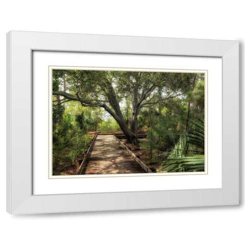 Tropical Walk White Modern Wood Framed Art Print with Double Matting by Head, Danny