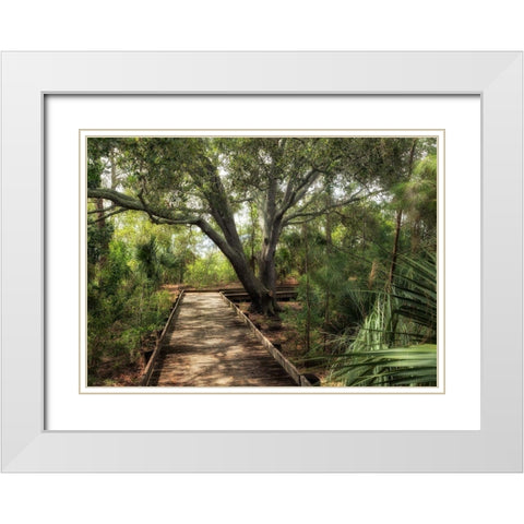 Tropical Walk White Modern Wood Framed Art Print with Double Matting by Head, Danny